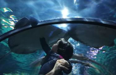 Seaview Faro Arinaga - Photo 14