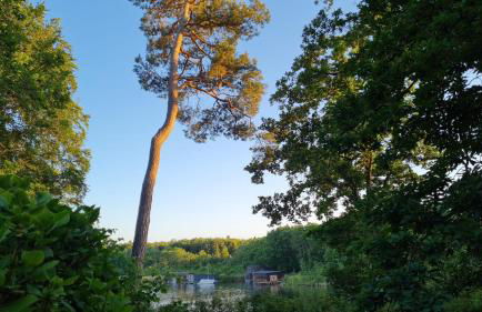 4 Sterne-Haus am See - Foto 73