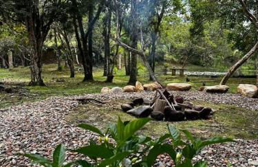 Casa de campo com cachoeira no quintal - Foto 39