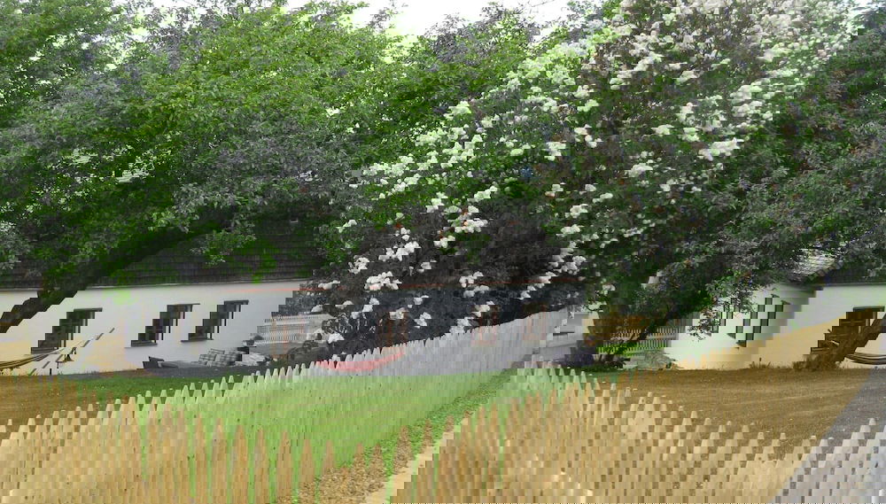 Sunny Holiday Home Near the Forest - Foto 1, Profilbild