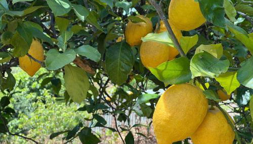 My House - Casa Charme - Photo 2