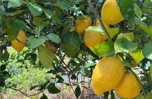 My House - Casa Charme - Foto 2