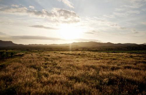 Casa Rural Aloe Vera - Foto 21