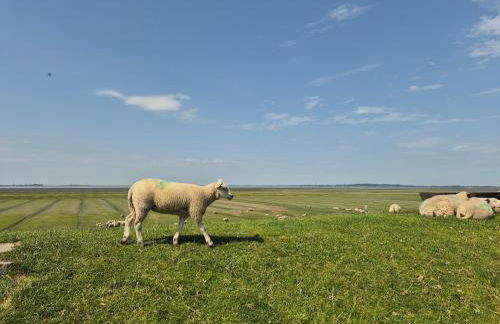 Ferienhaus Küstenzauber Simonsberg Nordsee Meer Husum - Foto 20