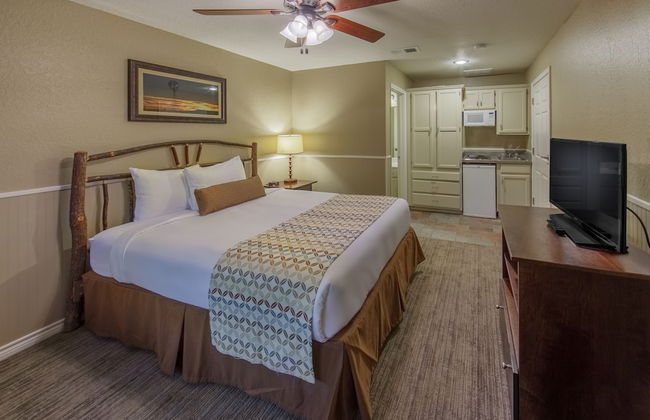 Holiday Inn Club Vacations Villages Resort at Lake Palestine by IHG - Photo 10