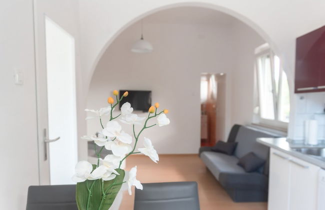 Studio Enig - Foto 2