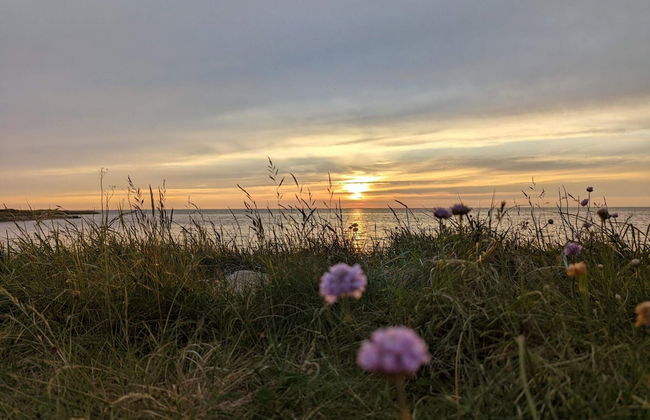 Idyllic Danish Farmhouse Retreat-by Traum - Foto 11