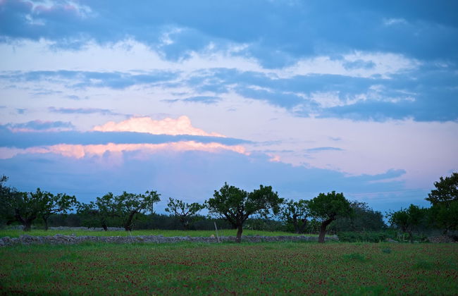 Masseria Ciavea - Photo 52