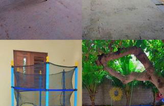 ChacaraSophya - Foto 16