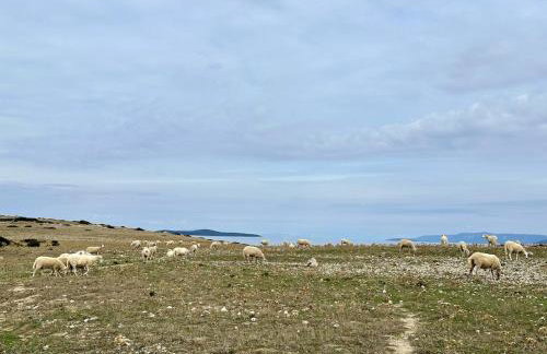 Robinson Crusoe Island Apartment - Foto 46