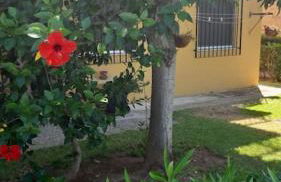 Apartamento, piscina y playa - Photo 19