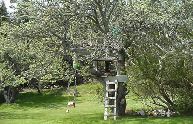 Geary House at Fifield Point - Photo 12