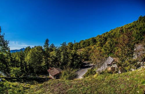 Alpeggio Pruno - Foto 25