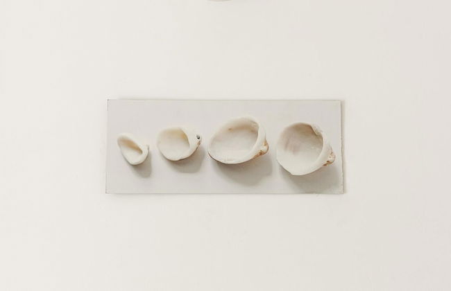 Residenza Excelsior 707 - Foto 22