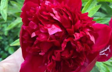 Ferienwohnung- Helena - Foto 30