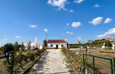 Monte da Rochela - Foto 27