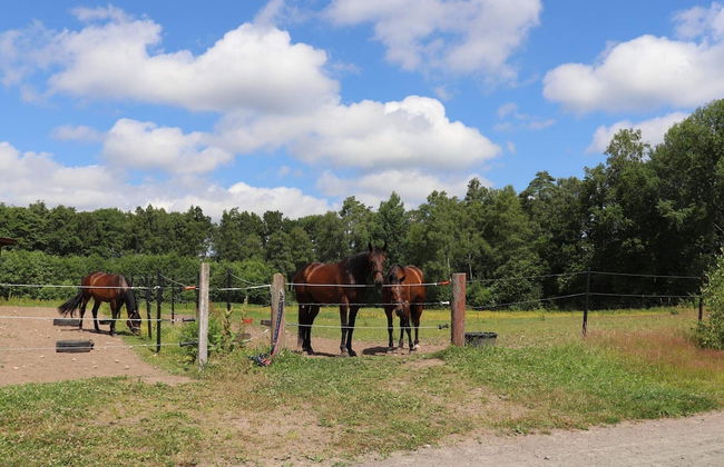 4 Person Holiday Home in Munka-ljungby-by Traum - Foto 9