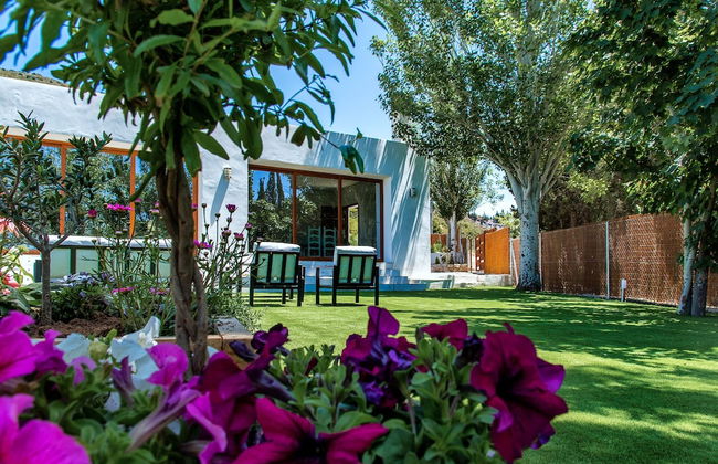 Alpujarra Arena - Foto 33