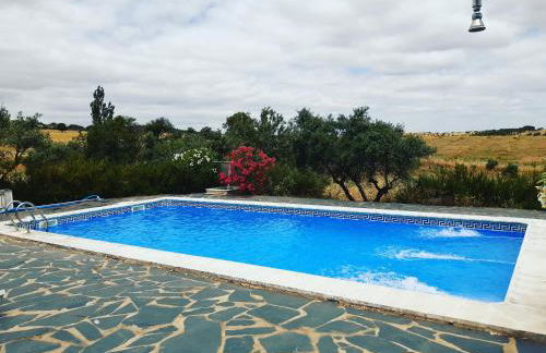 Horta do Muro - Foto 20