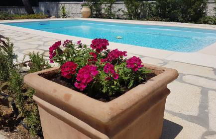 Ponderosa Kefalonia - Photo 40