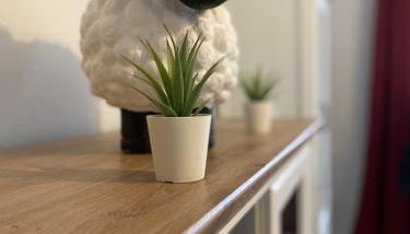 Ferienhaus Carpe diem - Photo 3