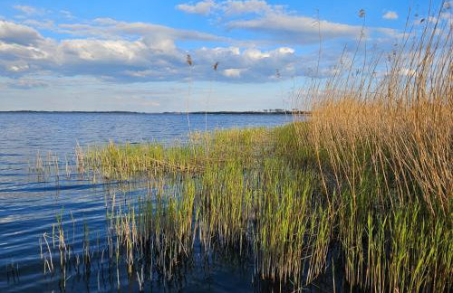 Villa HyggeBaltic - Foto 57