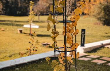 Idyllisches Apartment mit exklusivem Whirlpool - Foto 34