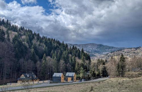 Babia Ostoja - domek z balią i sauną - Foto 34