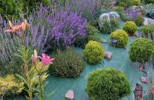 Domki pod lasem Gorce z kominkiem i jacuzzi - Photo 5