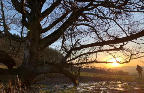 Trillow House, Clungunford, Ludlow - Foto 34