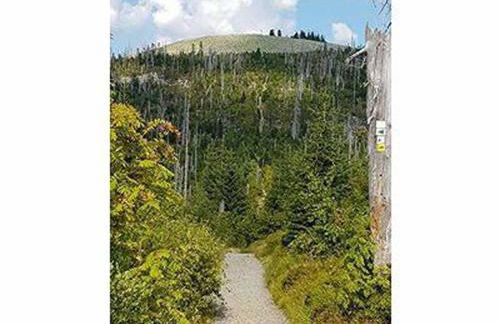 Ferienwohnung Fürst - Foto 19