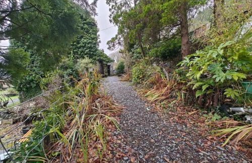 2 Bed in Llanelltyd oc-s34505 - Foto 18