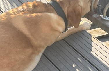 Sea views and stunning sunsets! Fantastic location - Foto 29