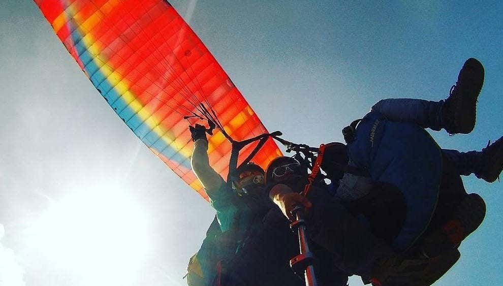 Soaring through the sky