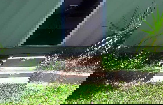 Módulo Monoambiente - Foto 2