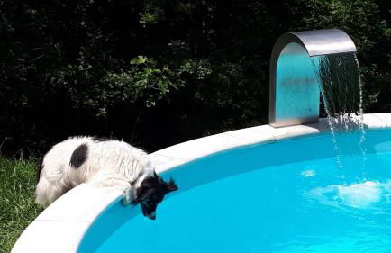 Porcaticcio - Foto 27