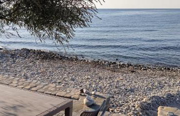 Δίπλα στο κύμα -Βeside the wave - Photo 29