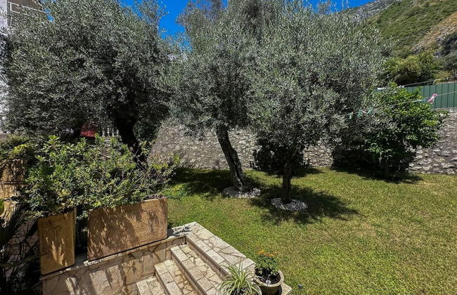 Olive Residence Rezevici - Foto 45