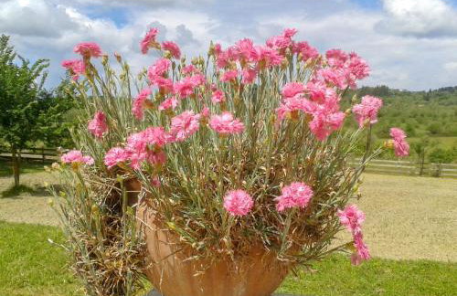 Aroggia Farm - Foto 68