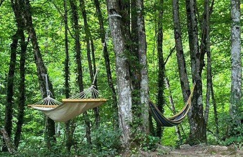 Mrežnički doživljaj - Foto 19