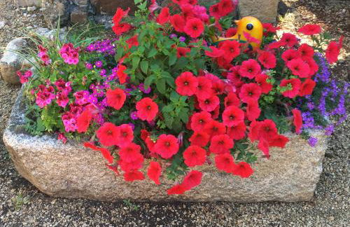 Gite de la Renaissance, Binic , Bretagne - Foto 19