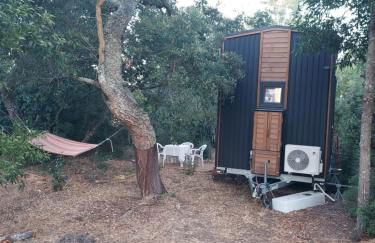 Quinta de São Pedro - Photo 44