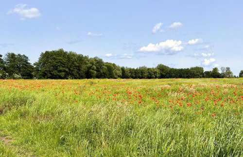 Gutshof Liepe mit 2 Ferienwohnungen - Foto 43