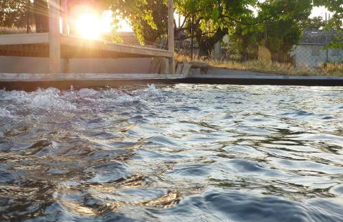 Tuttaterra - Foto 62