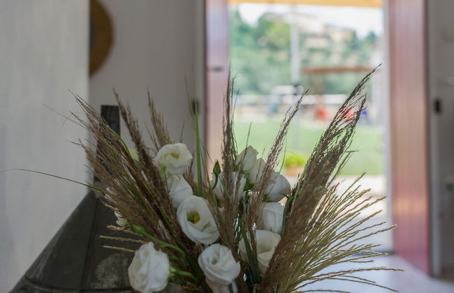 Agriturismo di Serragiumenta - Foto 45