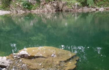 El Rinconin de Degu - Photo 19