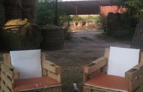 Biobagnolese Agriturismo - Foto 20