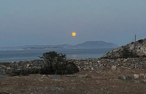 Messaria - Schinoussa - Foto 3