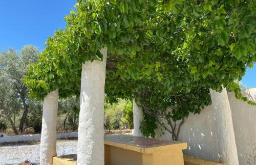 Alojamientos CUEVAS TIANA - Photo 32