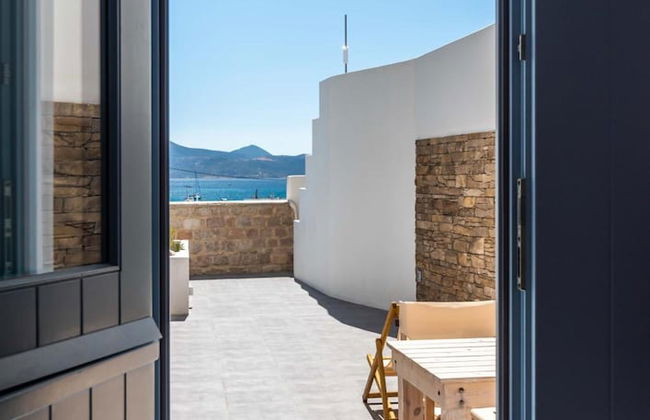 Ippocampos - Foto 52